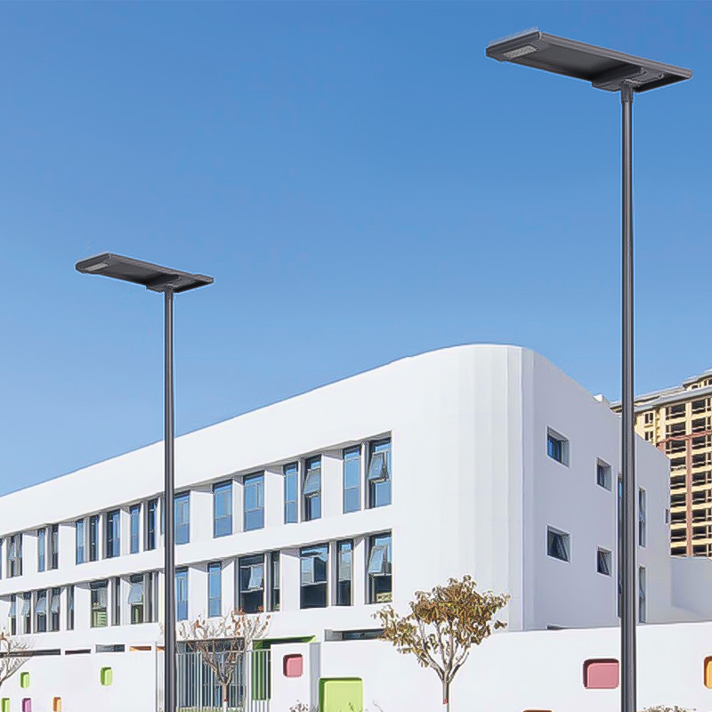 四川莱宏照明玉兰灯产品图