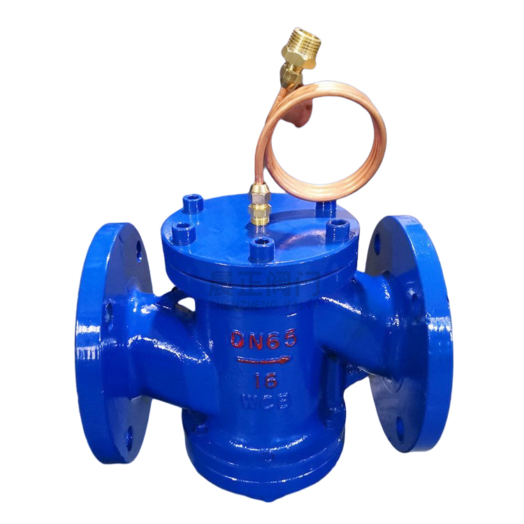 自力式压差控制阀 ZYC