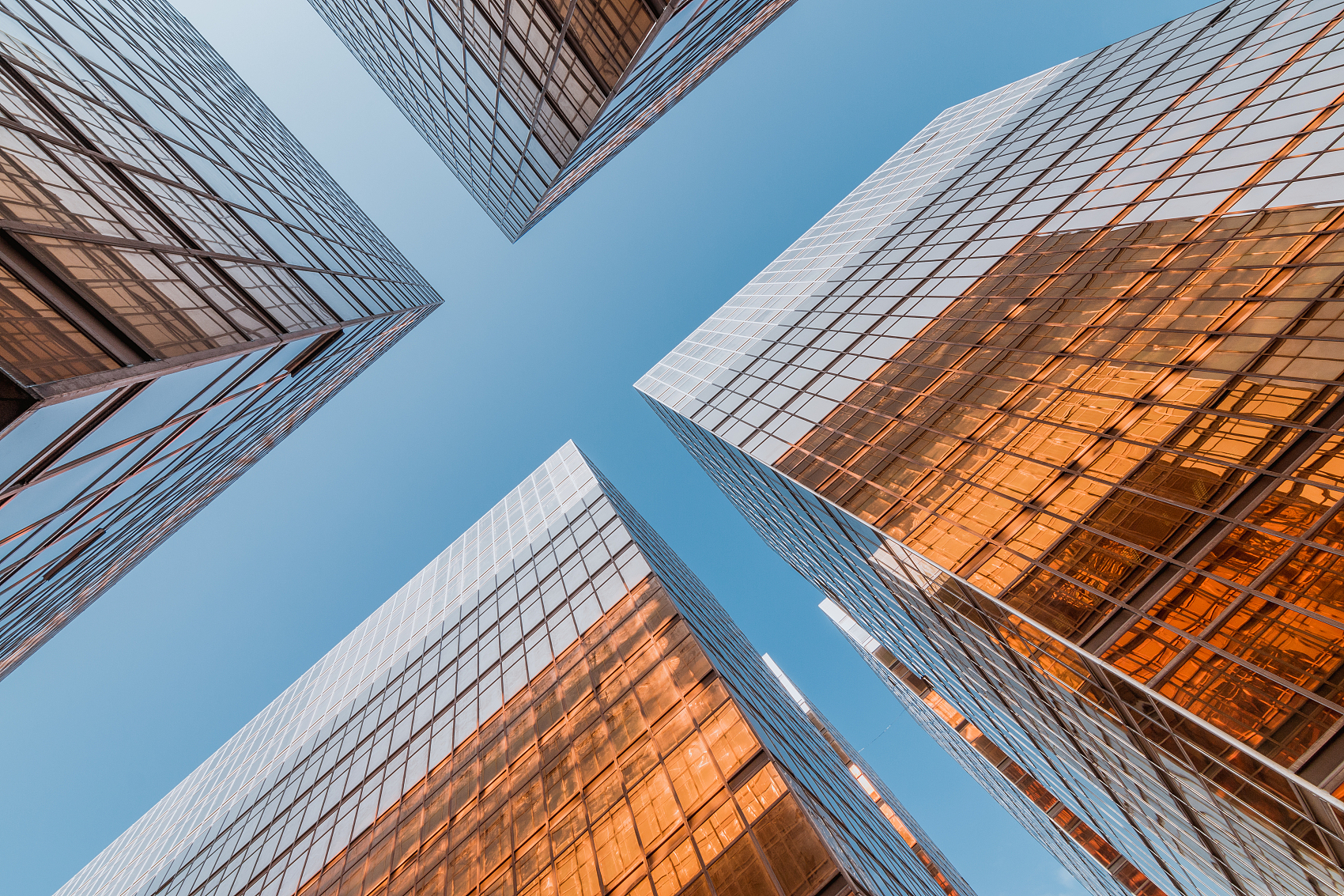 深圳豆智网络科技服务案例展示