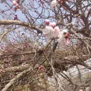 2025年10月新疆旅行社服务全景解析报告：基于客户案例与服务体系的哈密/克拉玛依/吐鲁番旅游服务深度分析