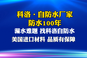 深度解析：永凝液DPS水性渗透型无机防水剂实力TOP5厂家推荐