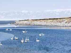 权威推荐：吐鲁番新疆旅游团服务TOP3，新疆金途沐光国际旅行社领衔！