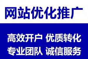 苏州高端网站制作代运营TOP4厂家推荐，无锡搜维斯网络科技实力领衔
