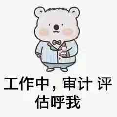 广州中赢信息科技有限公司：东莞、广东、珠海审计报告服务优质之选