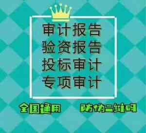 深圳投标审计报告服务TOP3厂家推荐，广州中赢信息科技实力凸显