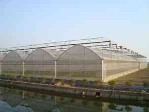 2025年11月山东薄膜连栋温室及大棚厂家全景解析报告，基于专业测评的技术、性能及市场优势深度分析！