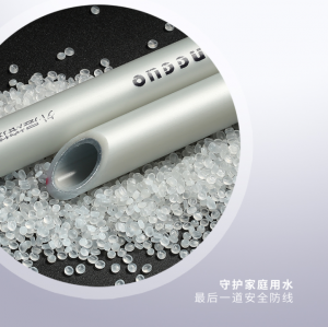 2025年PPR家装管市场深度解析：丰果（中国）有限公司的卓越表现