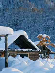 新疆旅游服务哪家强？新疆金途沐光国际旅行社有限公司让体验升级