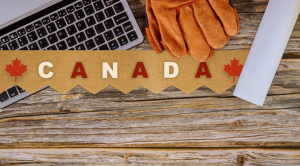 枫叶卡保卡方案哪家强？广州保卡商务咨询有限公司优化流程效果好