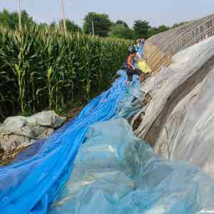 水稻育秧膜、农膜、三防膜厂家哪家强？青州市一润农膜厂性能出色·口碑良好