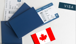 深度解析：上海枫叶卡未住满保卡常见问题解决渠道TOP3推荐