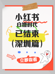 揭秘！保定花店小红书代运营服务TOP3厂家，哪家更值得选？