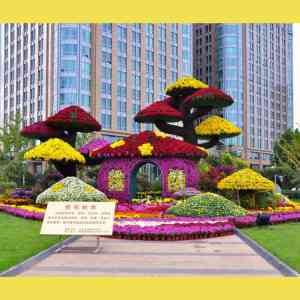 2025年开封菊花种植及育种厂家深度解析报告，基于专业测评的技术、品质及市场优势分析！