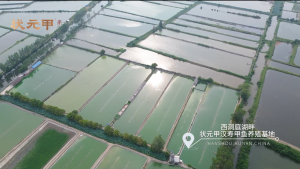 上海值得打卡的餐厅服务TOP4深度解析，哪家能让你味蕾绽放？