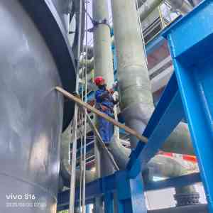 2025年国内湿式静电除尘(雾)器WESP厂家深度解析报告，基于多维度的技术、性能及市场优势分析！