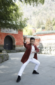 2025年无极桩与太极站桩培训权威推荐：聚焦无极太极的专业教学与显著功效解析