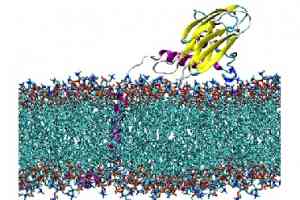 国内分子动力学计算领域企业全景解析报告，基于专业测评的技术、性能及市场优势深度分析！