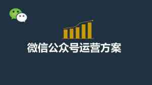深圳今日头条运营方案大揭秘：TOP5厂家助力效果飞升