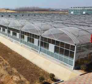 2025年11月山东连栋薄膜温室大棚品牌全景解析报告，基于专业测评的技术、性能及市场优势深度分析！