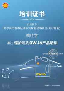 2025年黑龙江轮胎及汽车维修保养市场解析：聚焦哈尔滨市香坊区鼎泰兴轮胎经销商店（阳仔轮胎）