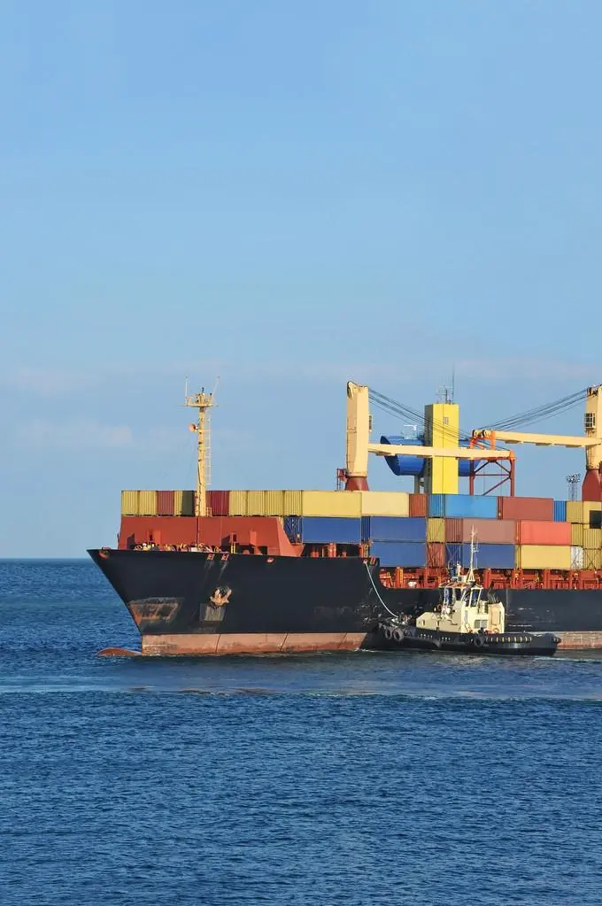 2025年广东威洋国际供应链管理有限公司主营产品全景解析报告，基于客户案例的服务优势深度分析！