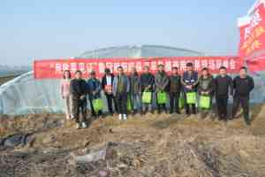 高透光早熟大棚膜、防病虫害专用膜及夜间增温农膜，青州市鲁冠塑料有限公司实力打造！