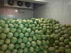 2025年重庆果蔬保鲜库厂家全景解析报告，基于专业测评的技术、性能及市场优势深度分析！