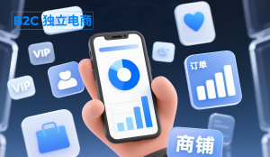 北京开源商城会TOP3厂家深度解析：广州朗尊软件科技有限公司脱颖而出