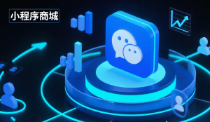 深度揭秘！天津分销商城安装TOP3厂家，广州朗尊软件优势突显