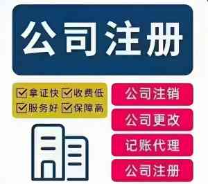 深度剖析！广州工商变更方案TOP5厂家，账师兄等实力厂商揭秘