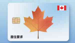 2025年10月广州保卡商务咨询有限公司枫叶卡服务全景解析报告，基于专业测评的技术、性能及市场优势深度分析！