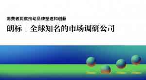 2025年上海朗标企业管理咨询有限公司产品深度解析：聚焦无锡品牌咨询、江苏品牌出海及徐州品牌策划
