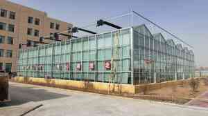 2025年11月山东温室建设厂家全景解析报告，基于专业测评的技术、性能及市场优势深度分析！