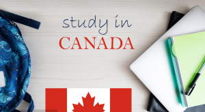 加拿大团聚移民申请服务哪家好？广州保卡商务咨询有限公司优势显著