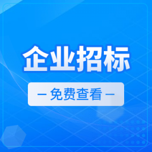 投标服务平台TOP5厂家深度剖析：立达标讯脱颖而出