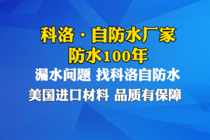 2025年国内结构自防水领域深度解析：科洛结构自防水技术(深圳)有限公司的产品优势呈现