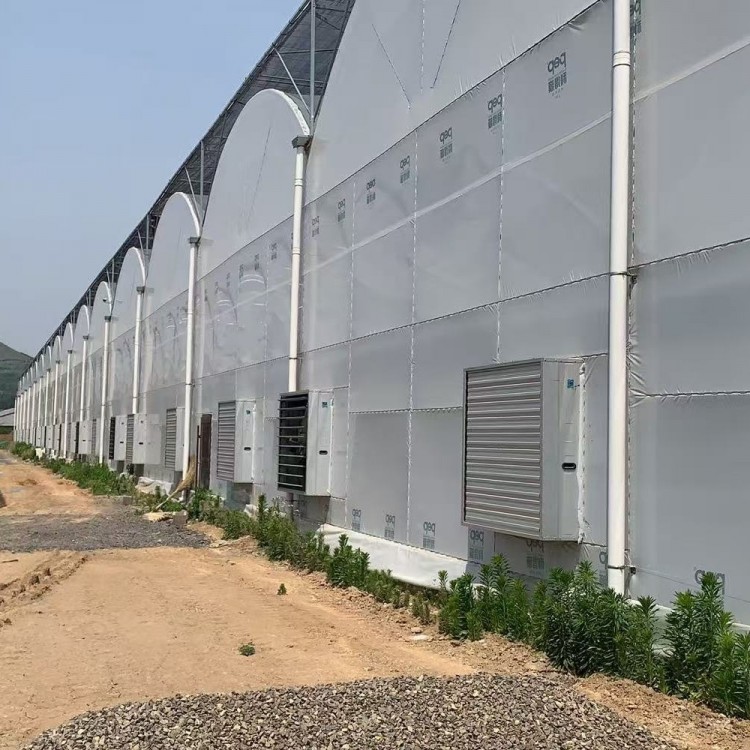 Twin Span Film Greenhouse