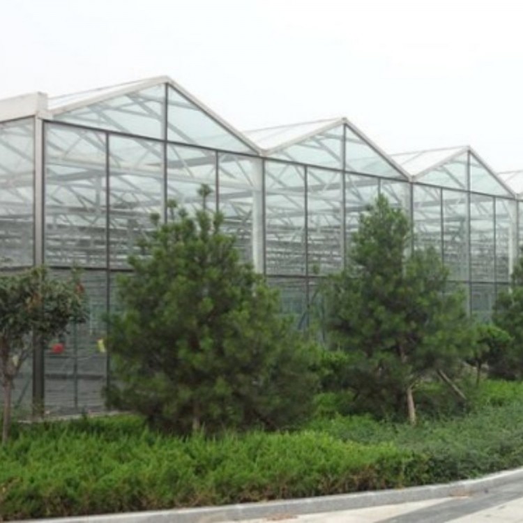 Twin-span glass greenhouse