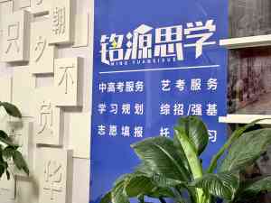 崂山奇点计划平台合作厂家TOP3推荐：青岛铭源思学教育科技居首获好评