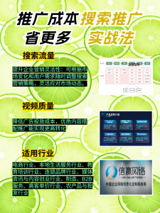 权威推荐：石家庄短视频获客方案TOP5厂家及实操策略解析