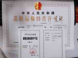 深度解析！潍坊高危险性体育项目经营许可证服务商TOP5厂家推荐