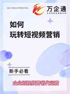 惠州短视频推广获客系统TOP3厂家推荐，深圳万企通实力出众