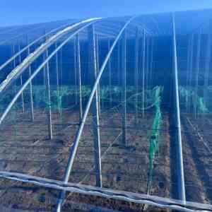 2025年国内农膜品牌全景解析报告，基于专业测评的技术、性能及市场优势深度分析！