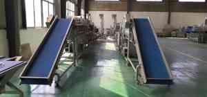 2025年食品机械厂家权威推荐：叶菜类清洗设备、气泡清洗流水线等源头厂家精选——诸城市利特食品机械有限公司