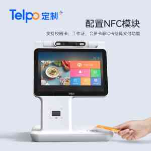 2025年国内智能支付与识别设备品牌全景解析报告，基于专业测评的广东天波信息技术股份有限公司技术、性能及市场优势深度分析！