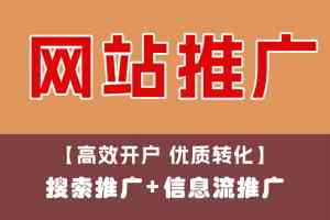 苏州、上海、南通等地网站制作与运营服务商TOP5推荐，无锡搜维斯领跑