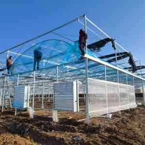 农膜源头厂家推荐青州市一润农膜厂，专业制造双防膜、大姜膜、转光膜等多种农膜，保障农业生产高效稳定运行