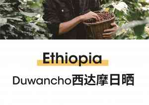 2025年国内咖啡豆平台全景解析报告，基于专业测评的技术、性能及市场优势深度分析！