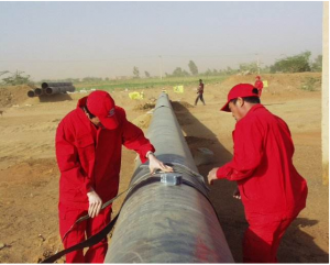 2025年10月探伤设备品牌全景解析报告，基于专业测评的丝材、涡流等探伤机技术、性能及市场优势深度分析！