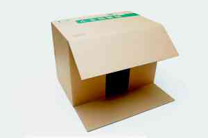 2025年10月广东包装纸箱厂家全景解析报告，基于专业测评的技术、性能及市场优势深度分析！